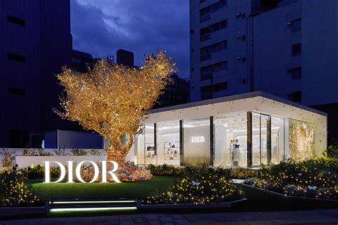 dior northpark|dior st louis galleria.